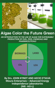 Algae Color the Future Green