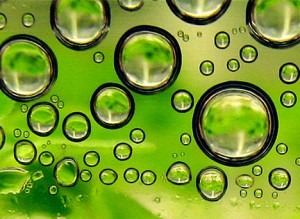 Genetic Engineering - Green Algae 