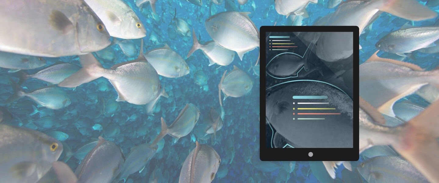 AI and Fish Farming