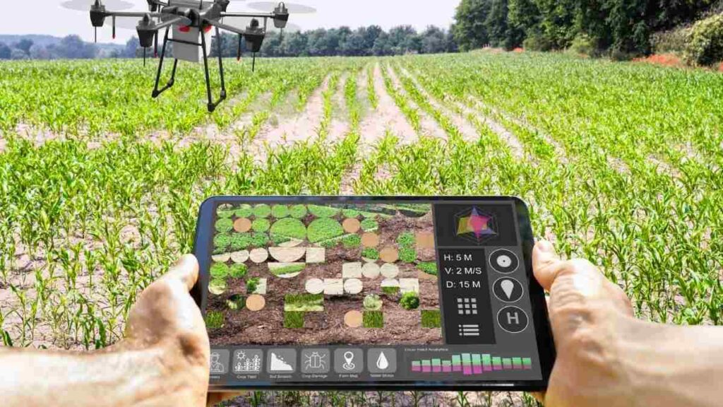 Artificial Intelligence and Precision Agriculture
