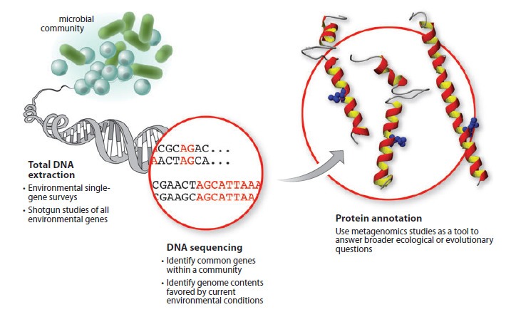 Metagenomics Explained