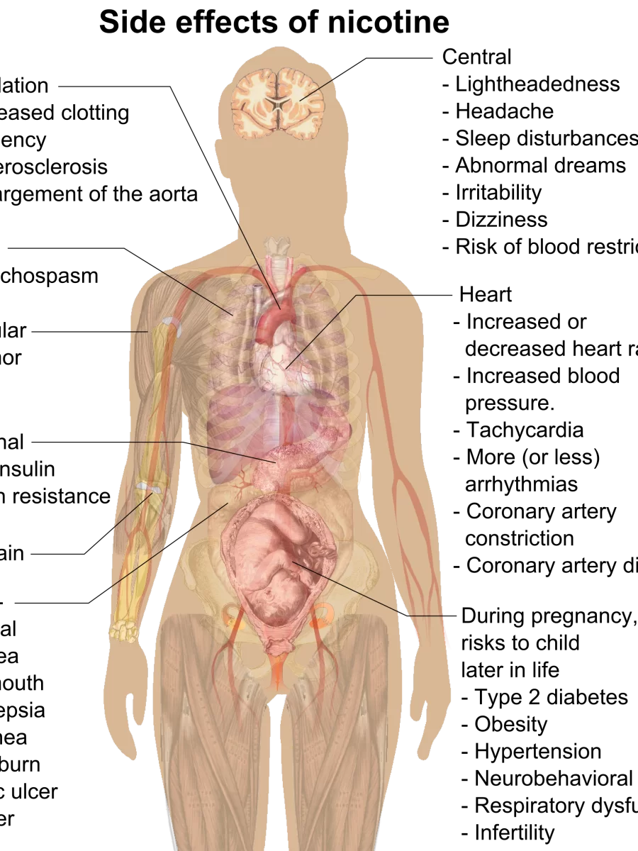 Nicotine, Tobacco, and Smoking