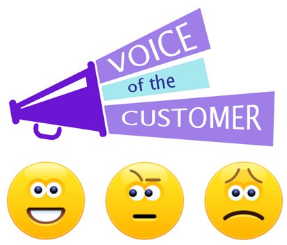 Listening to the Voice of the  Customer