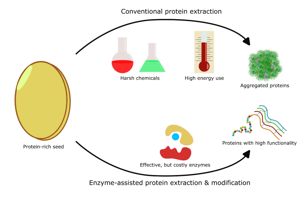 Rice Protein Concentrate9